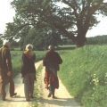 50_6-spazieren-durch-die-felder.jpg