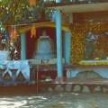 116_05-alles-da-bodhibaum-stupa-und-buddhastatue-hinter-glas.jpg