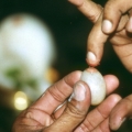 167_8-das-lingam-symbol-w228hrend-der-puja.jpg