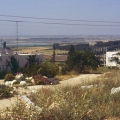 398_19-j252d_-arab_-kibbuz-newe-shalom.jpg