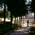 440_14-auf-dem-weg-hinauf-zum-felsendom.jpg