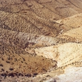 452_20-in-der-wueste-juda.jpg