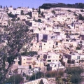 461_3-der-pal228stinensische-stadtteil-silvan.jpg