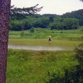 3. Father Oshida inpiziert die Reisfelder.jpg