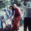 8 DSC04348 - Kopie.JPG