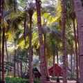 2. im Ashram Shantivanam