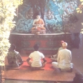 17 DSC04395.JPG