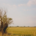 3. das Pisselberger Land.jpg