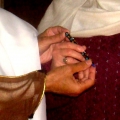 DSC05148 - Kopie.JPG