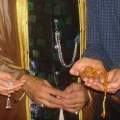 DSC05164 - Kopie.JPG