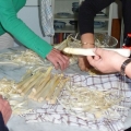 P1030313 - Kopie.JPG